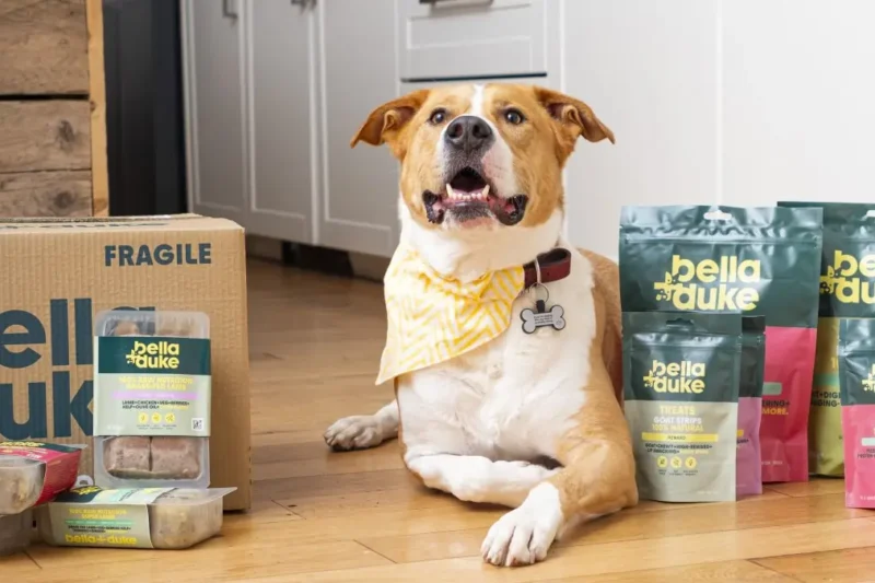 Top Dry Dog Food Reviews: Unbiased Rankings