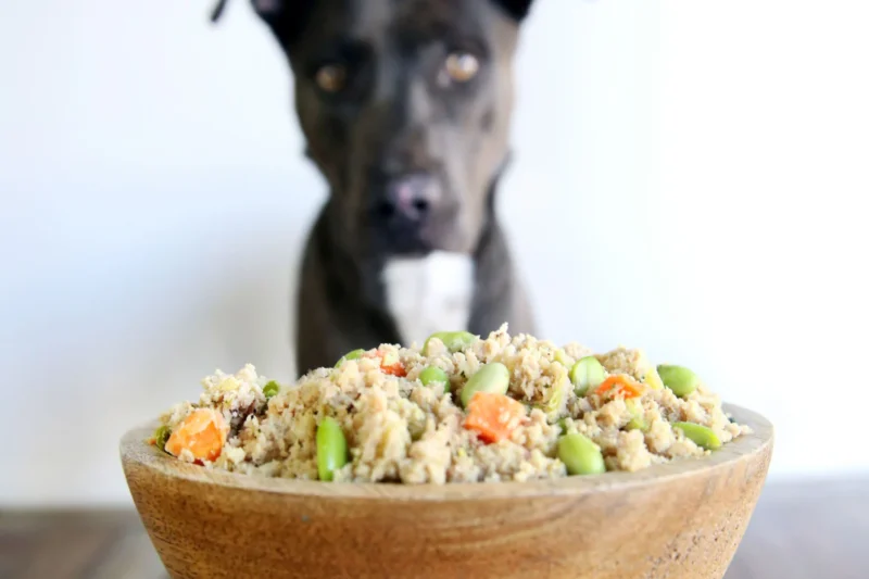 Delicious Homemade Dog Food Recipes for Optimal Health