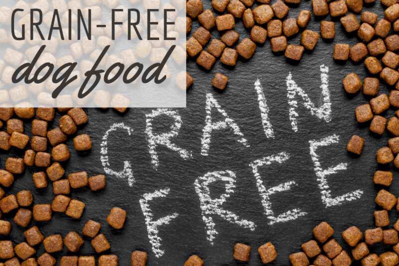 Top Grain-Free Dog Recipes for a Healthier Pup