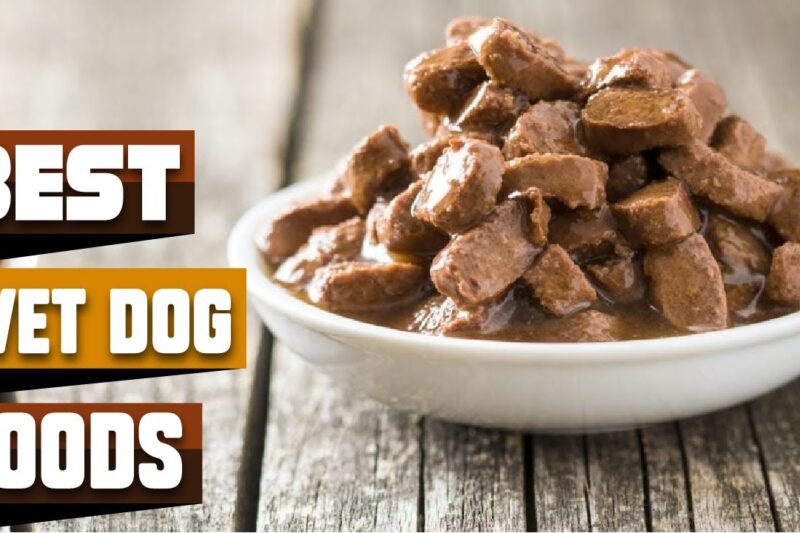 Top Wet Dog Food Reviews for Healthier Pets